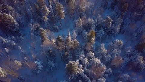 ProRes. Winter forest and rocks from aerial view. Landscape. Stock Footage 84362639