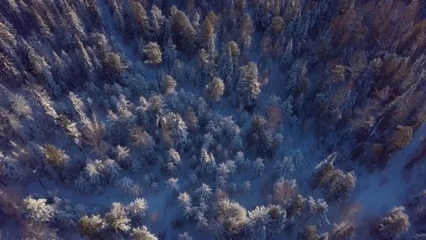 ProRes. Winter forest and rocks from aerial view. Landscape. Stock Footage 84363120