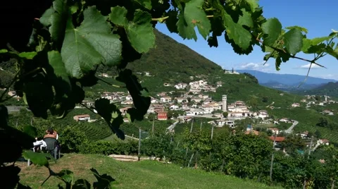 Prosecco hills - Motion view through vineyards Stock Footage 66506829