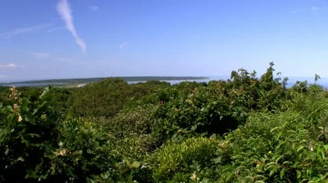 Prospect Hill Martha's Vineyard; 2 Stock Footage 12252947