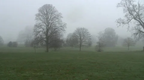 Prospect Park 01 Video stock 34269812