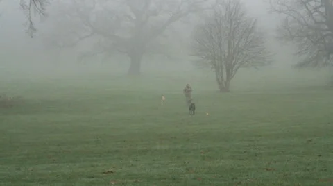 Prospect Park 03 Video stock 34269823