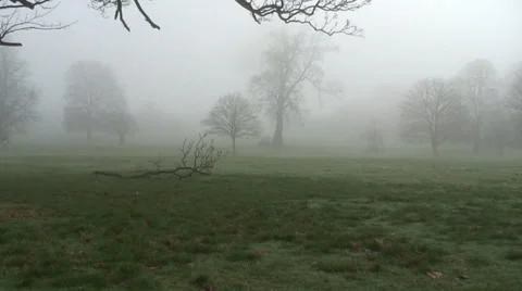 Prospect Park 04 Stock Footage 34269732