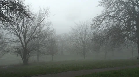 Prospect Park 05 Video stock 34269844