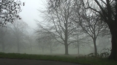 Prospect Park 06 Video stock 34269434