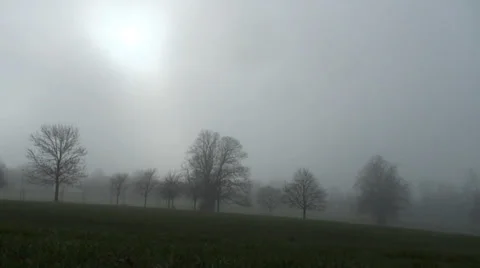 Prospect Park 07 Stock Footage 34269405