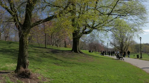 Prospect Park, Brooklyn in the Springtime. Vídeo Stock 62075630