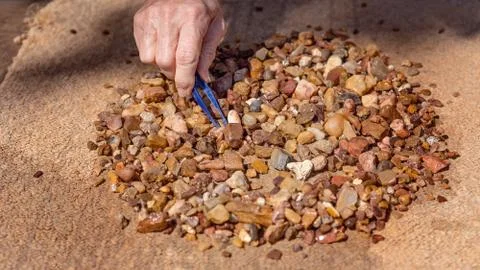 Prospecting For Sapphires Stock Photos