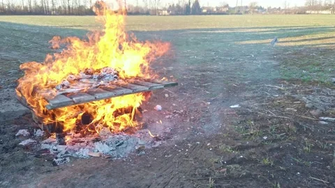 Prospective Close Up View Fire Wood at Field Stock Footage 143656096