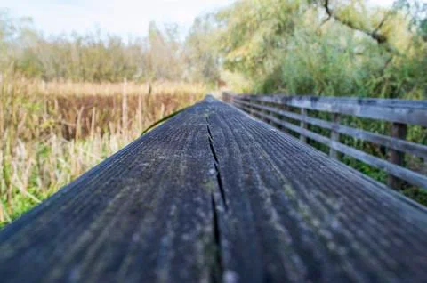 Prospective Stock Photos