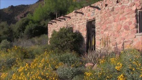 Prospectors Cabin Stock Footage 74220114