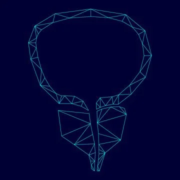 The prostate gland and bladder low poly triangulation triangulated polygonal  Stock Illustration