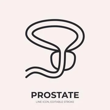 Prostate gland line icon. Hyperplasia treatment linear vector illustration. Thin Stock Illustration