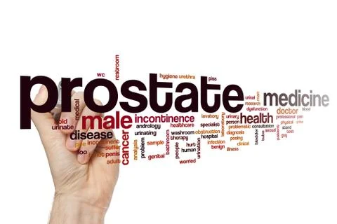 Prostate Illustrazione stock