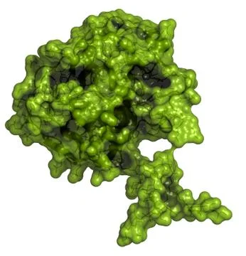 Prostate-specific antigen (psa, gamma-seminoprotein , kallikrein-3, klk3) pro Stock Illustration