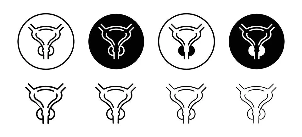 Prostate vector icon set collection. Prostate Outline flat Icon. イラスト素材