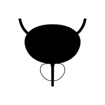 Prostatitis inflammation problem Illustrazione stock