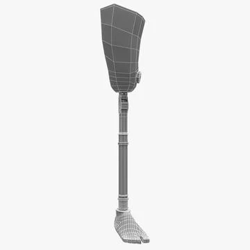 Prosthetic Leg 2 ~ 3D Model ~ Download #89228116 | Pond5