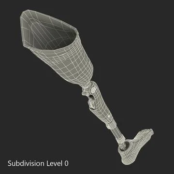 Prosthetic Leg ~ 3D Model ~ Download #90658320 | Pond5