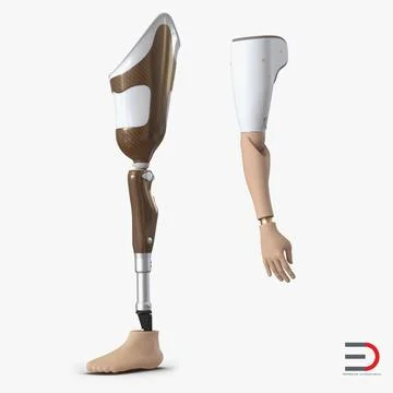 4,067 Woman Prosthetic Leg Images, Stock Photos, 3D objects