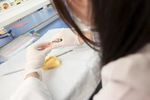 Prosthodontics Stock Photos