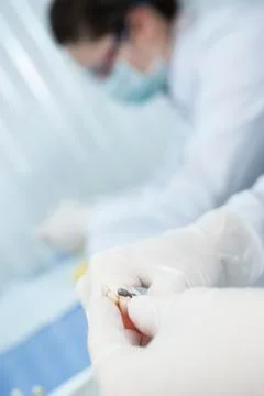 Prosthodontics Stock Photos