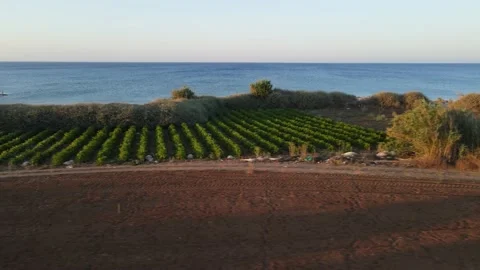 Protaras. Evening coast of Cyprus. Resort town in eastern Cyprus. Stock Footage 202023065