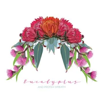 Protea Eucalyptus wreath Stock Illustration