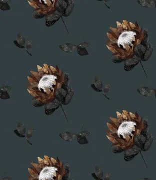 Protea flower illustration on dark background. Seamless pattern Stock Illustration