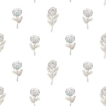 Protea flower seamless vector pattern. Stock Illustration