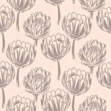 Protea flower simple seamless vector pattern. Illustrazione stock