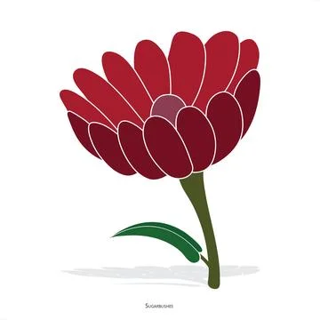 Protea Flower Vector Illustration Isolated Transparent Background Ilustración de archivo