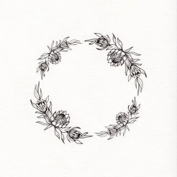 Protea flower wreath Stock Illustration