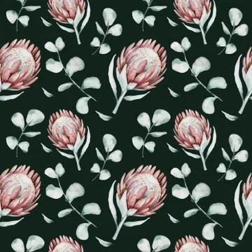 Protea seamless pattern flower. watercolor tropical leaves, hand painted Stock Illustration