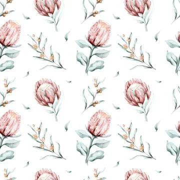 Protea seamless pattern flower. watercolor tropical leaves, hand painted Stock Illustration