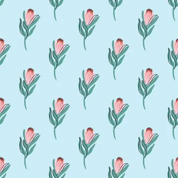 Protea seamless pattern. Minimalistic boho plant background. Stock Illustration