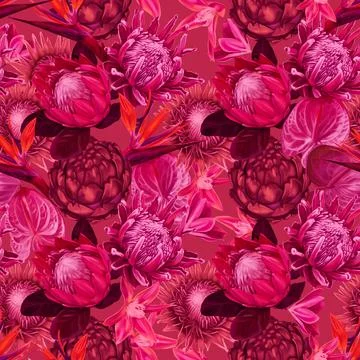 Protea seamless pattern. Viva Magenta Color. trendy color 2023. watercolor Stock Illustration