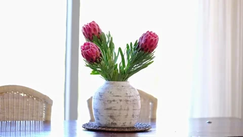 Proteas in a ceramic vase on a dining table in a home Vidéo 336189868