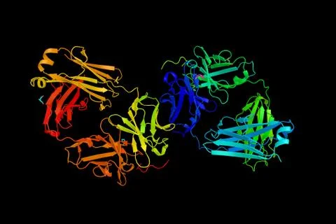 Protease-activated receptor 4, a member of the large family of 7-transmembr.. Illustration