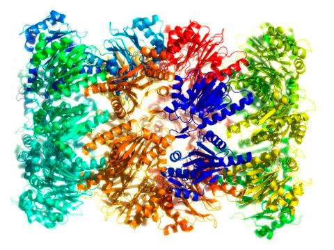 Proteasome, molecular model Stock Illustration