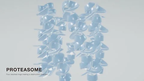 Proteasome protein degradation barrel structure rotating loop Stock Footage 343822142