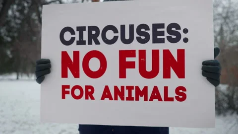 Protect Animal Rights Placard In An Anti-violence Protest Against Circus Abuse Stock Footage