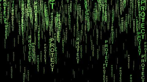 Protect data  code on the web Illustrazione stock