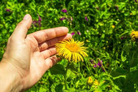 Protect the environment Stock Photos