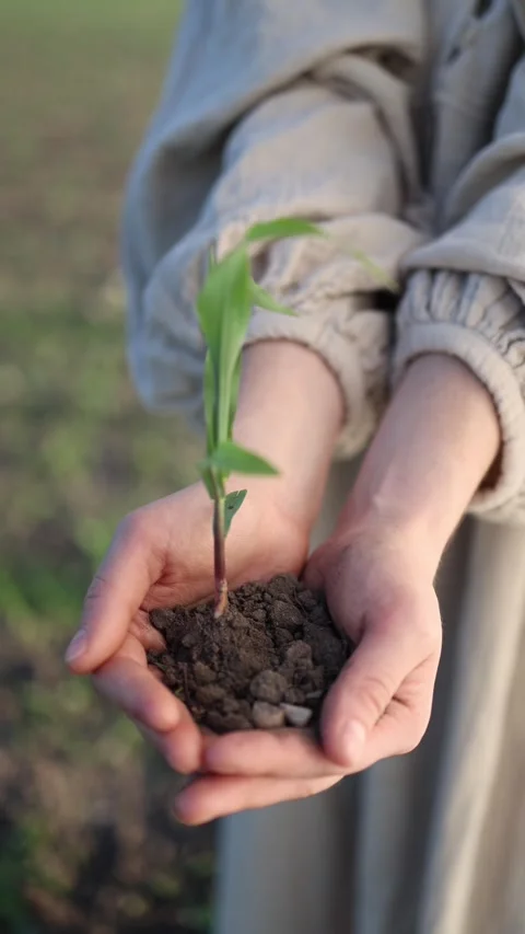 Protect the future of Earth Stock-Footage 337941287