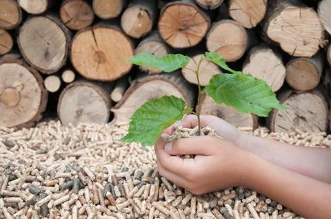 Protect the Nature Stock Photos