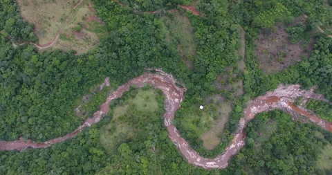 Protected Area with Extensive Vegetation and a Slightly Dry Creek Stock Footage 139767608