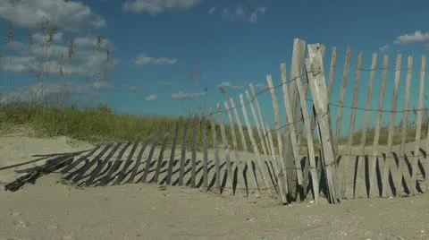 Protected dune Stock Footage 12169684