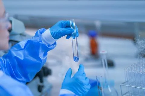 The protected hands of a laboratory scientist holding a test tube up in a g.. Stock Photos