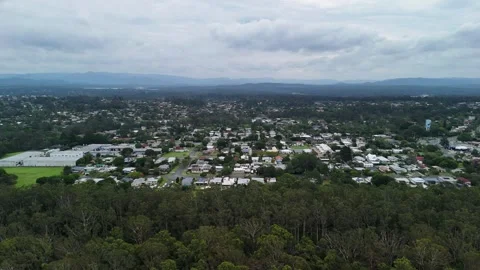 A protected Koala conservation habitat area in a inner-city Brisbane suburban 스톡 동영상 297247467
